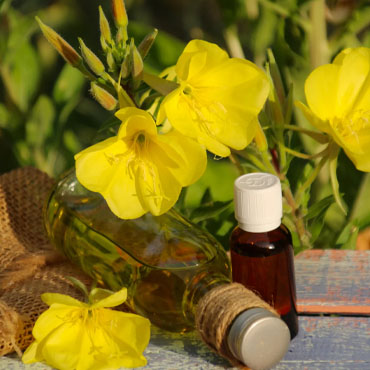 Top Evening Primrose Oil company in Noida